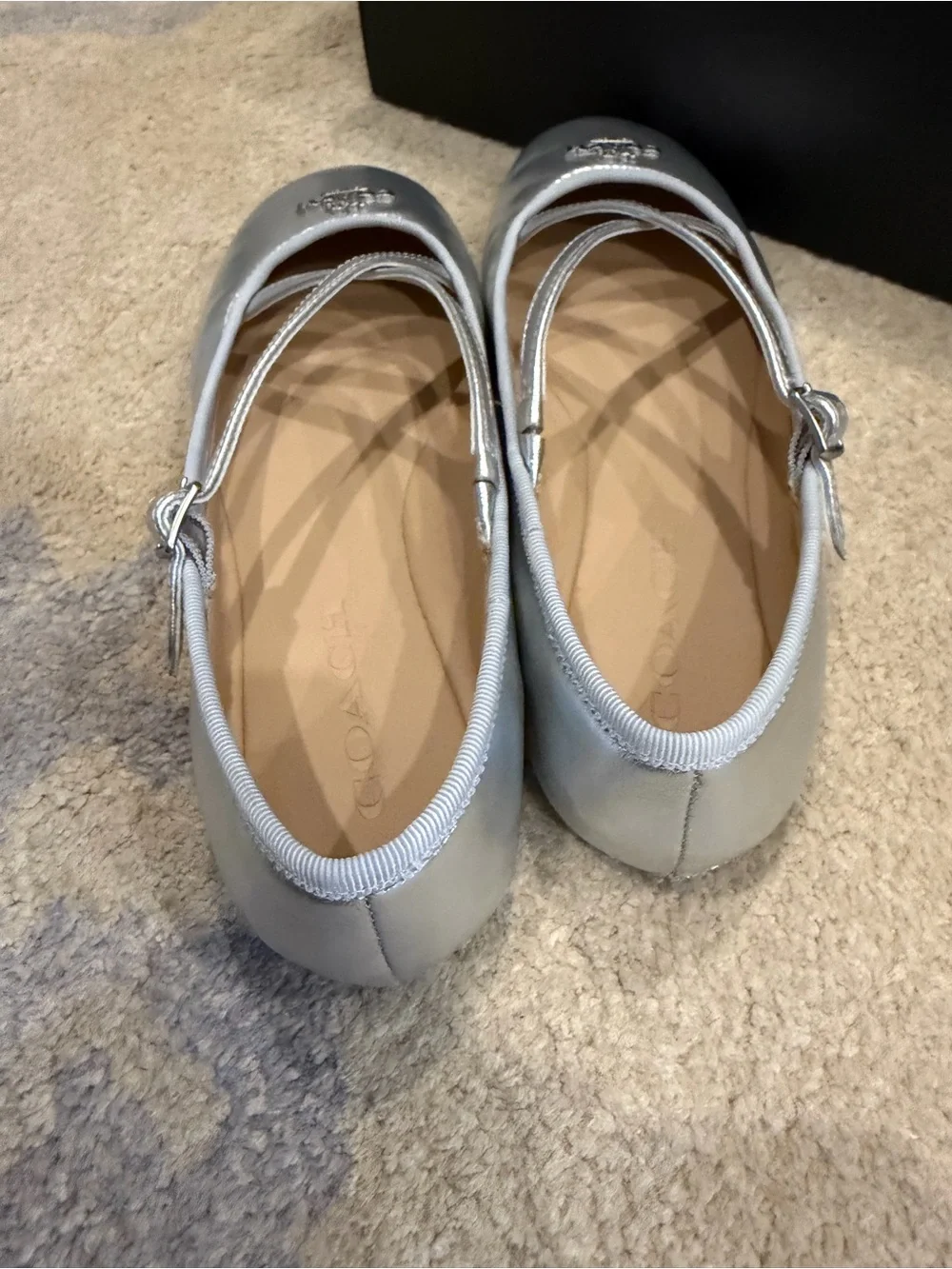 Coach Phoebe Silver Ballet Flats